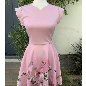 Ted Baker  Pink Floral Midi Dress  Size 0
